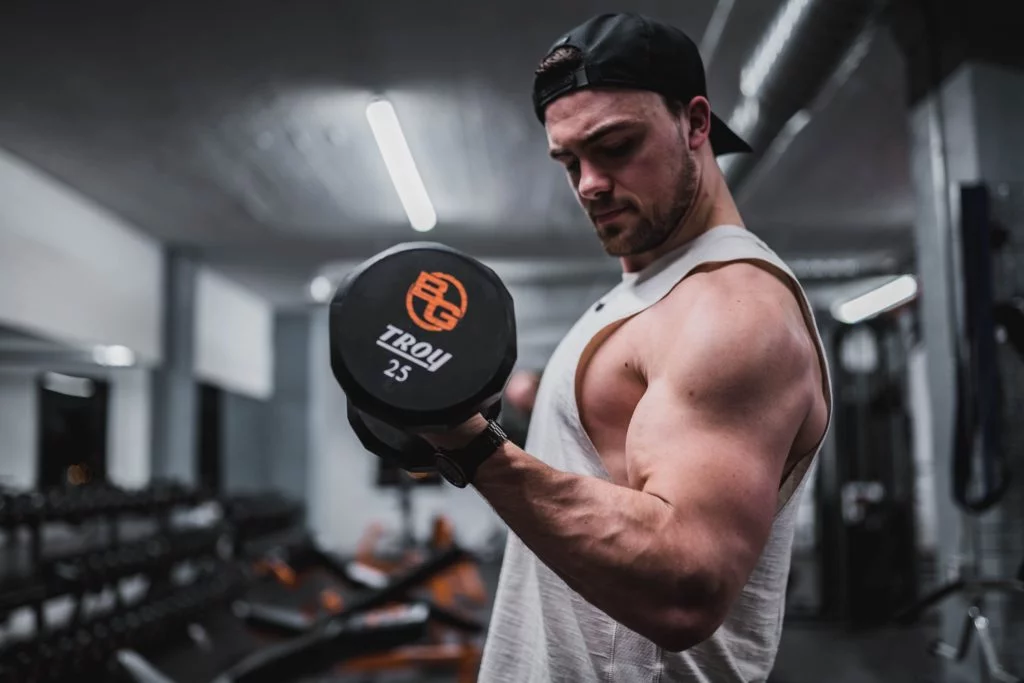 muscle gainer supplements