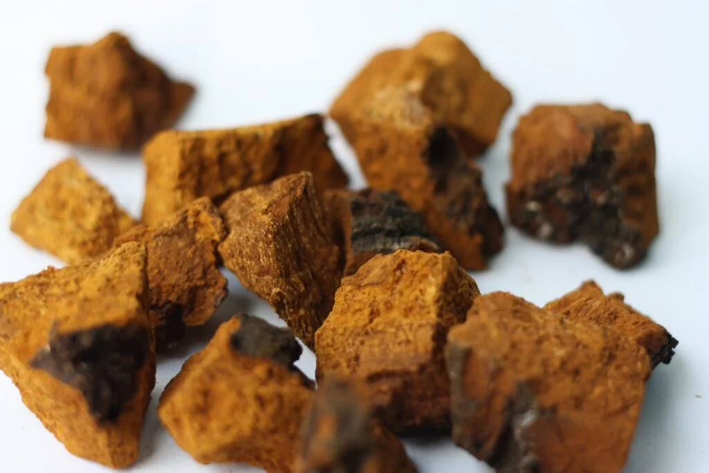 Chunks of Chaga Mushrooms